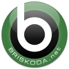 Briskoda Garage Logo